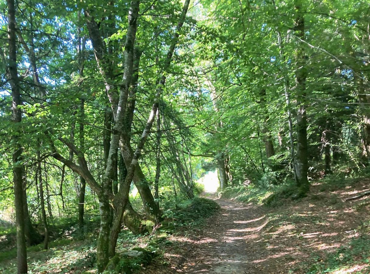 Aux Demeures Des Fees Villa Thouron Buitenkant foto